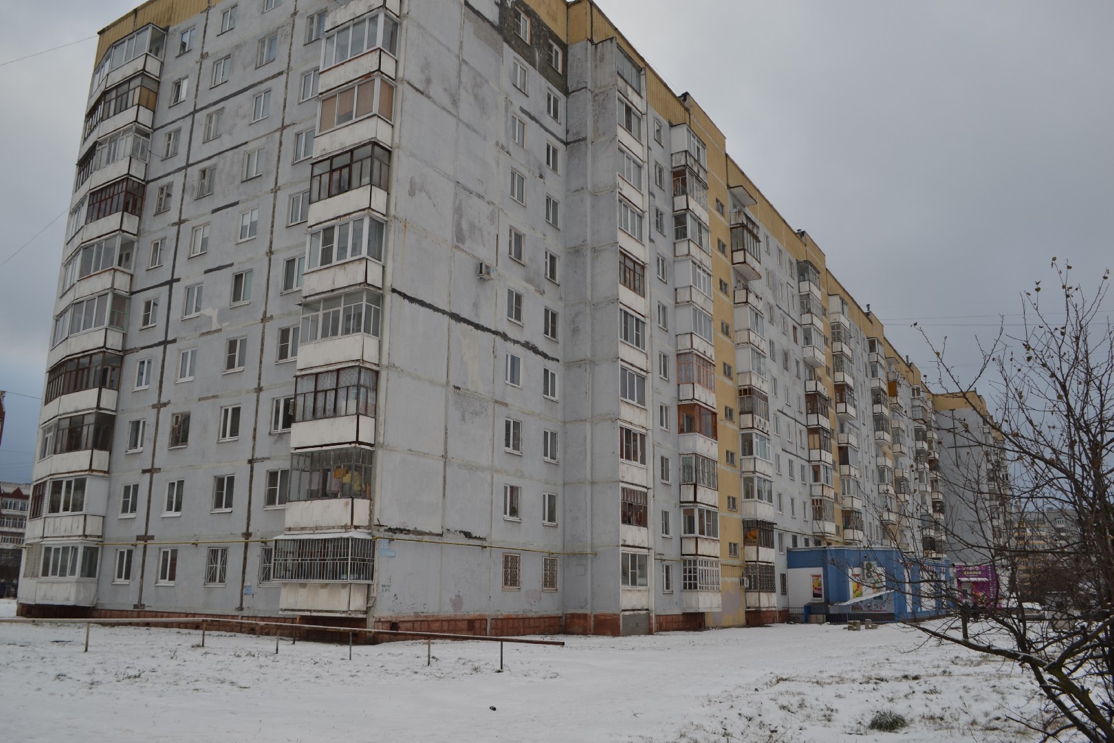 обл. Вологодская, г. Череповец, ул. Городецкая, д. 16-фасад здания