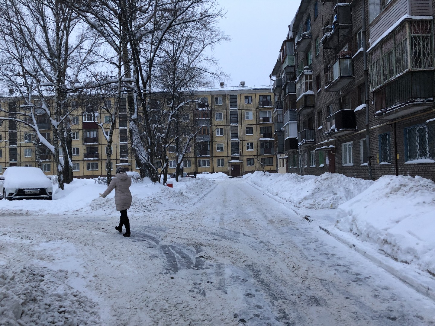 обл. Вологодская, г. Череповец, ул. Ленина, д. 173-придомовая территория