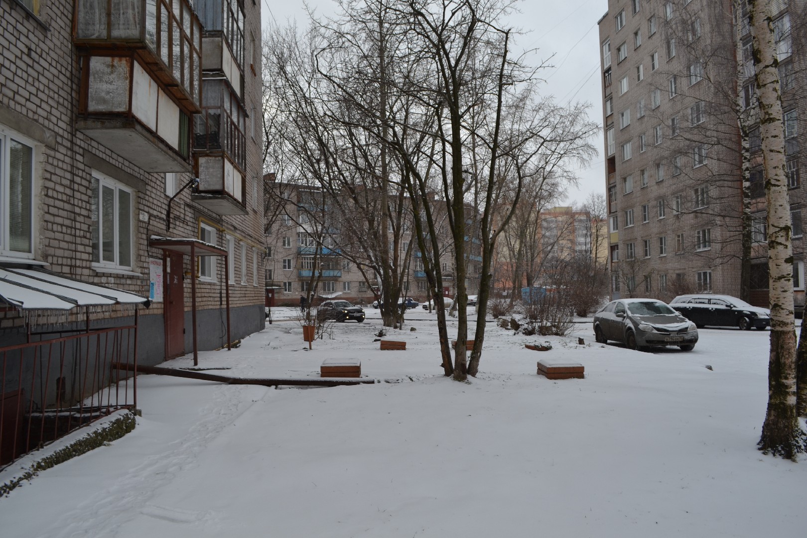 обл. Вологодская, г. Череповец, ул. Первомайская, д. 29-придомовая территория