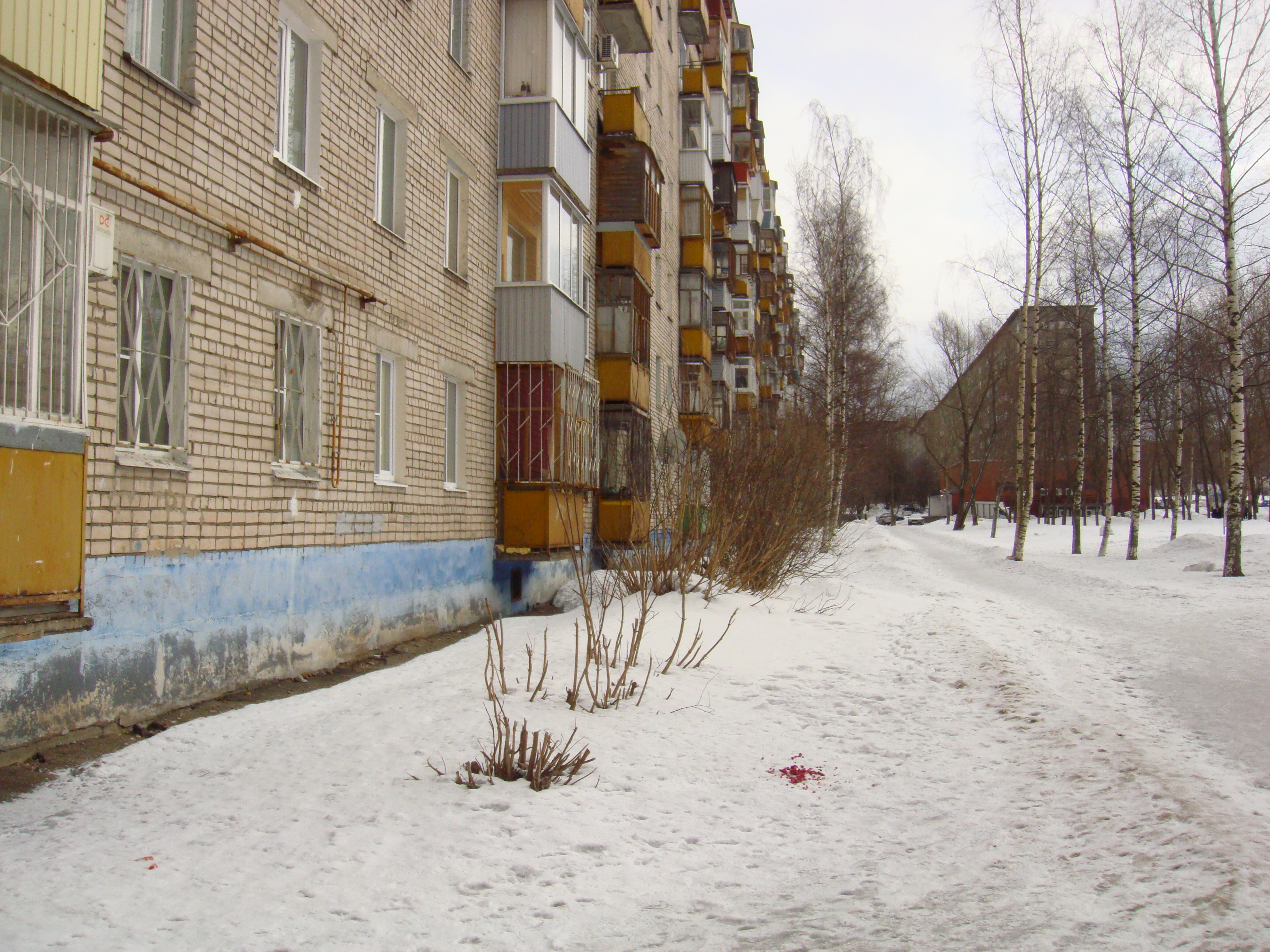 обл. Вологодская, г. Череповец, пр-кт. Победы, д. 115-фасад здания