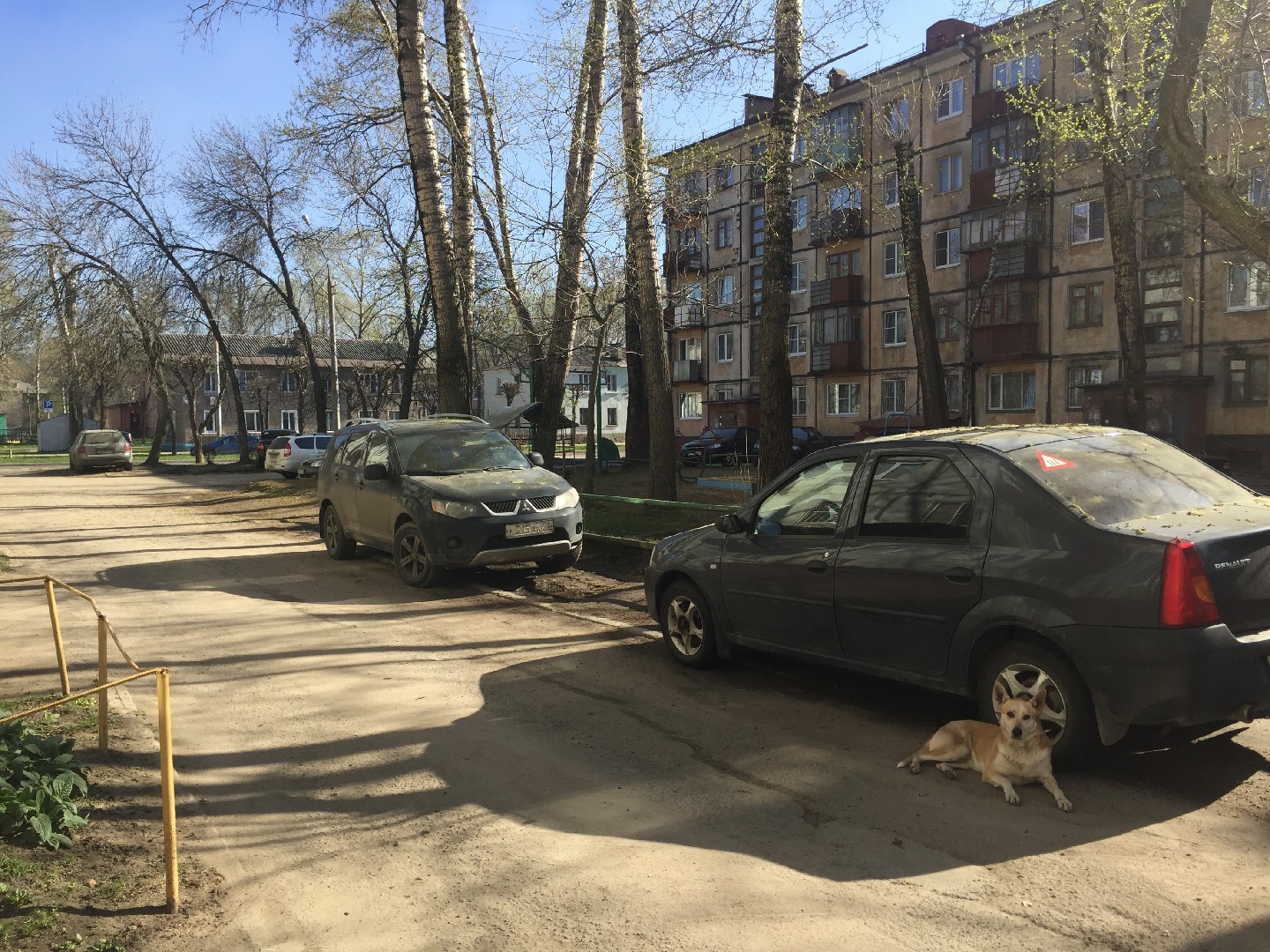 обл. Вологодская, г. Череповец, пр-кт. Строителей, д. 21-придомовая территория