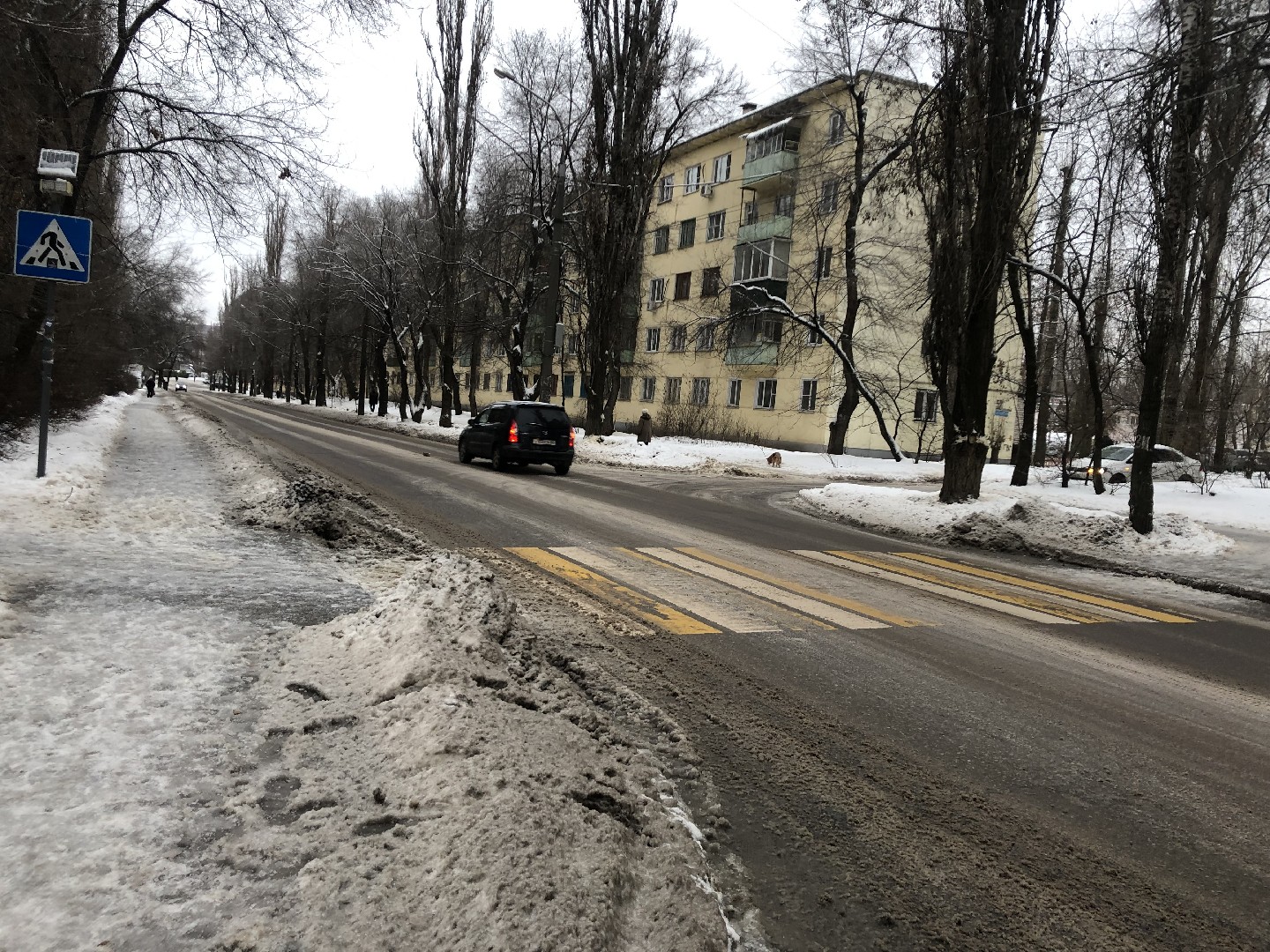 обл. Воронежская, г. Воронеж, ул. Переверткина, д. 33-придомовая территория