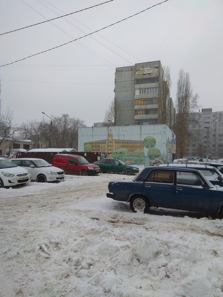 обл. Воронежская, г. Воронеж, б-р. Победы, д. 25-придомовая территория