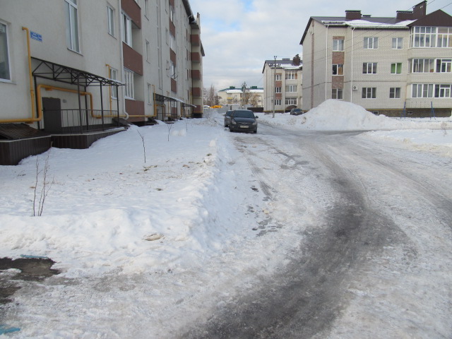 обл. Воронежская, р-н. Новоусманский, с. Новая Усмань, ул. Полевая, д. 33 а/4-придомовая территория