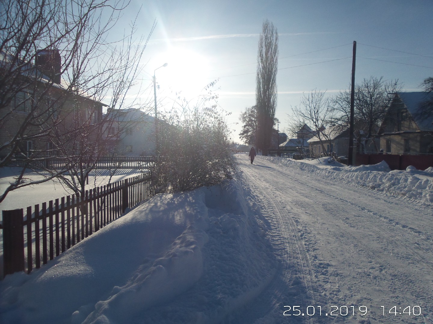 обл. Воронежская, р-н. Панинский, рп. Панино, ул. Коммунальная, д. 6-придомовая территория