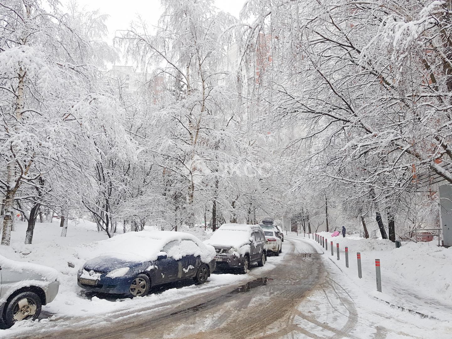 г. Москва, ул. Академика Анохина, д. 6, к. 4-придомовая территория