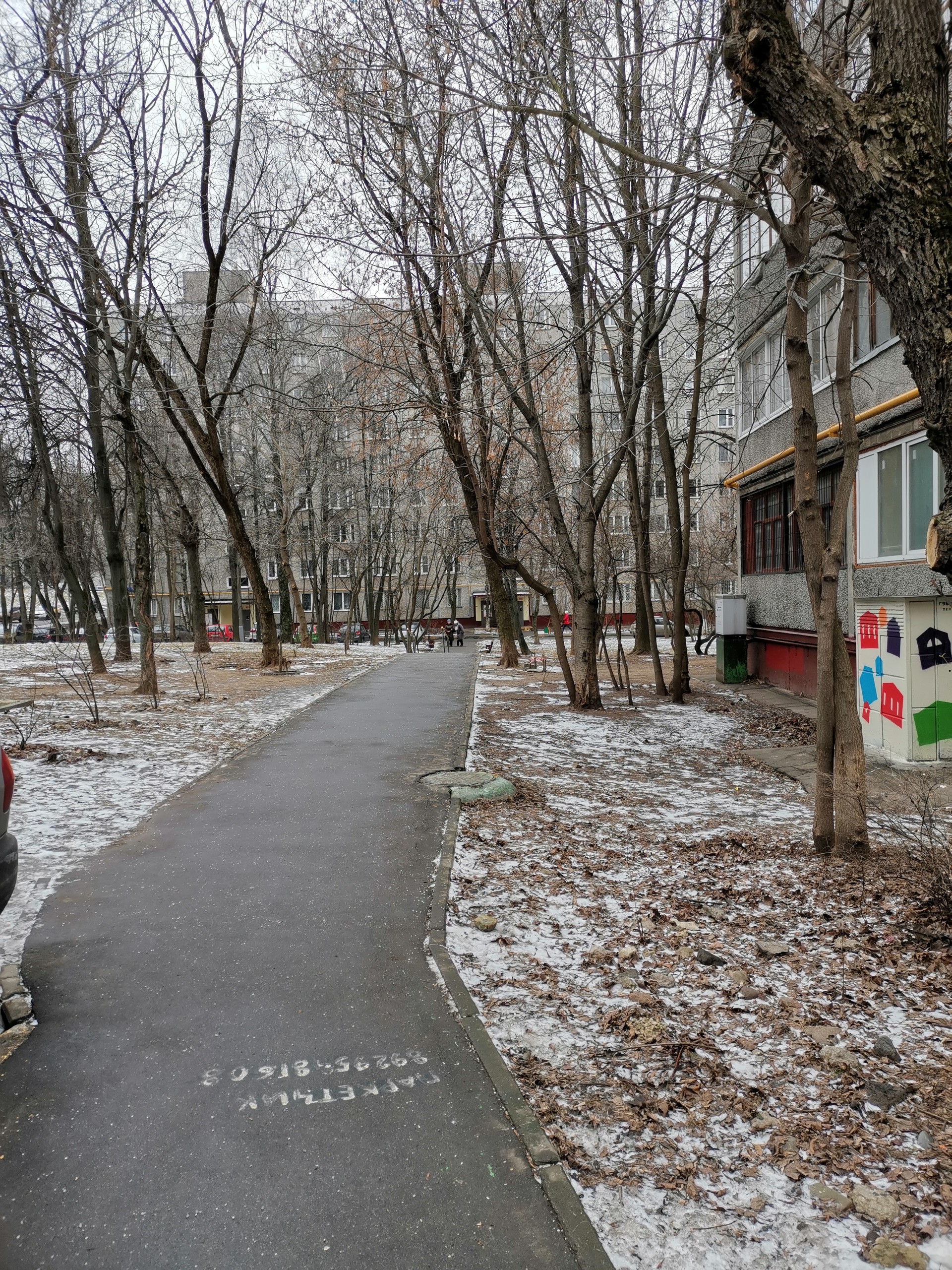 г. Москва, ул. Академика Волгина, д. 13-придомовая территория