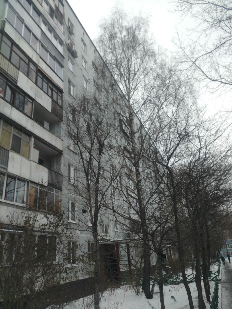 г. Москва, ул. Алтайская, д. 31-фасад здания