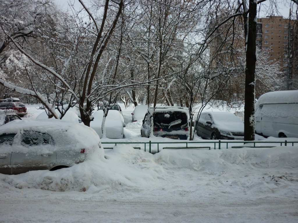 г. Москва, ул. Алтайская, д. 31-придомовая территория