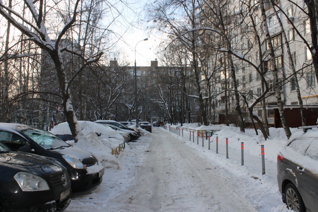 г. Москва, ул. Аргуновская, д. 8-придомовая территория