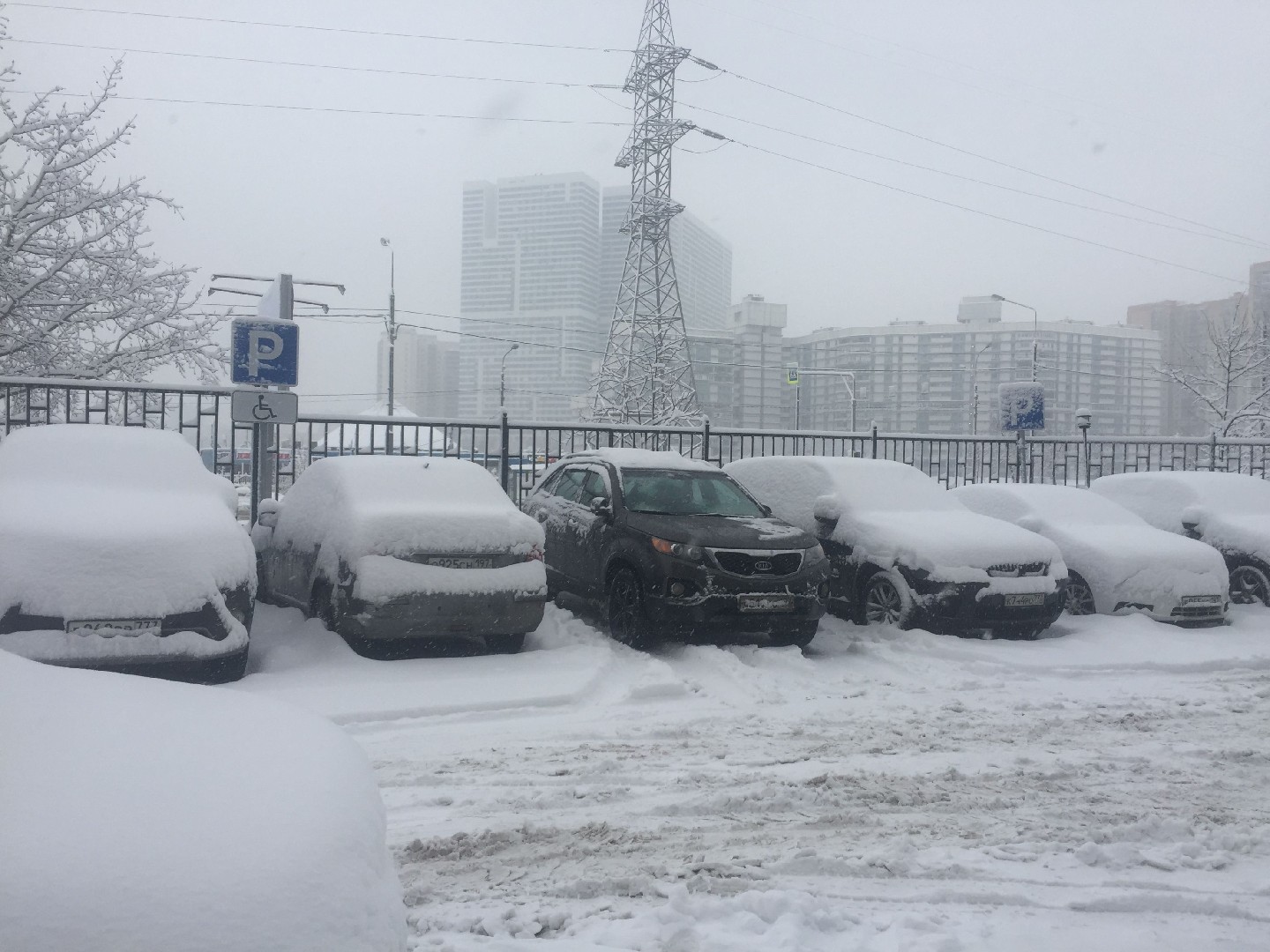 г. Москва, пр-кт. Балаклавский, д. 16-придомовая территория