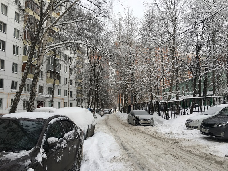 г. Москва, б-р. Бескудниковский, д. 16, к. 1-придомовая территория