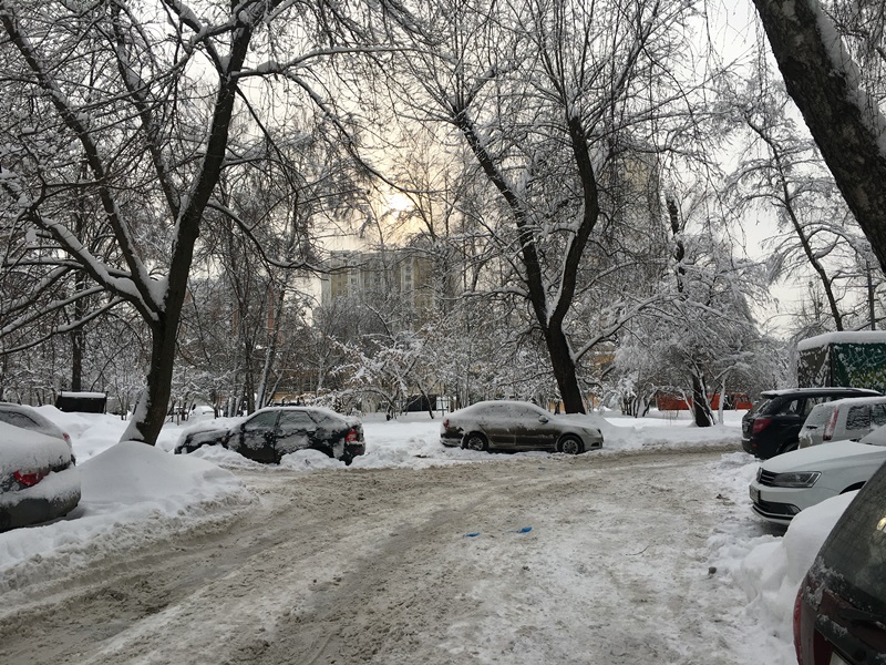 г. Москва, б-р. Бескудниковский, д. 16, к. 1-придомовая территория