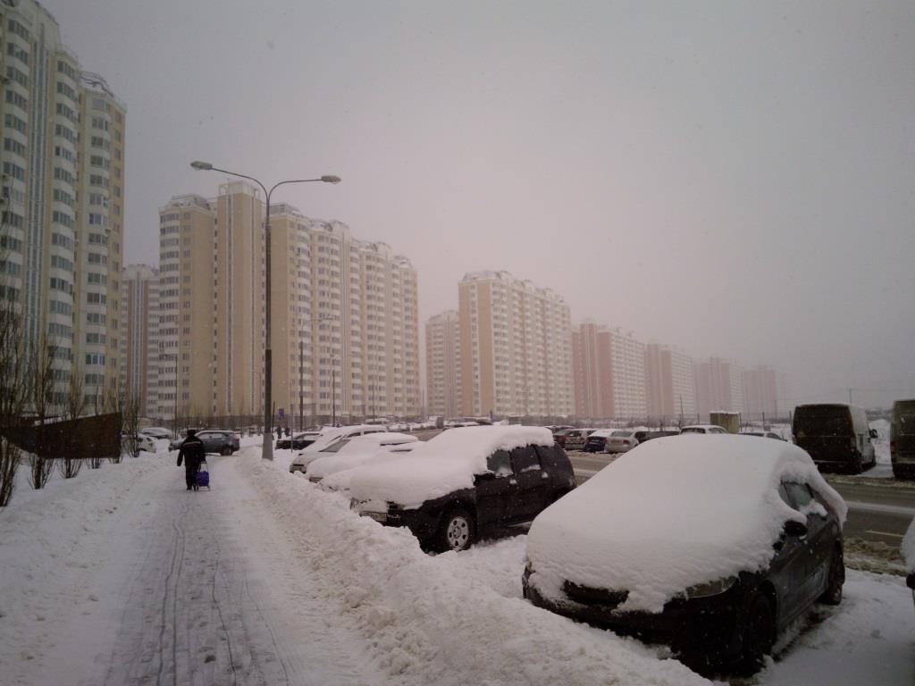 г. Москва, ул. Бориса Пастернака (п Внуковское), д. 25-придомовая территория