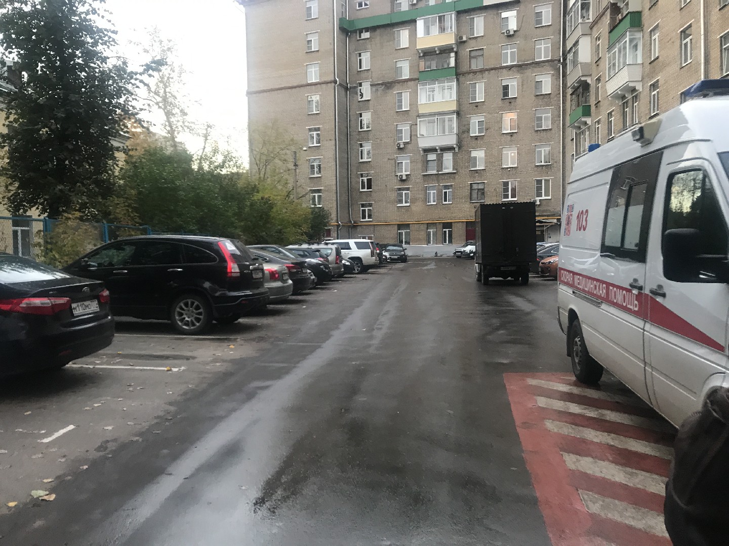 г. Москва, пр-кт. Буденного, д. 29/1-придомовая территория