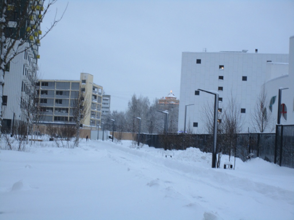 г. Москва, ш. Варшавское, д. 141, к. 8-придомовая территория