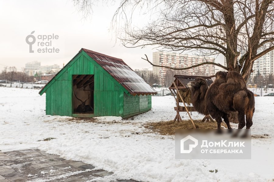 г. Москва, пр-кт. Вернадского, д. 94, к. 2-придомовая территория