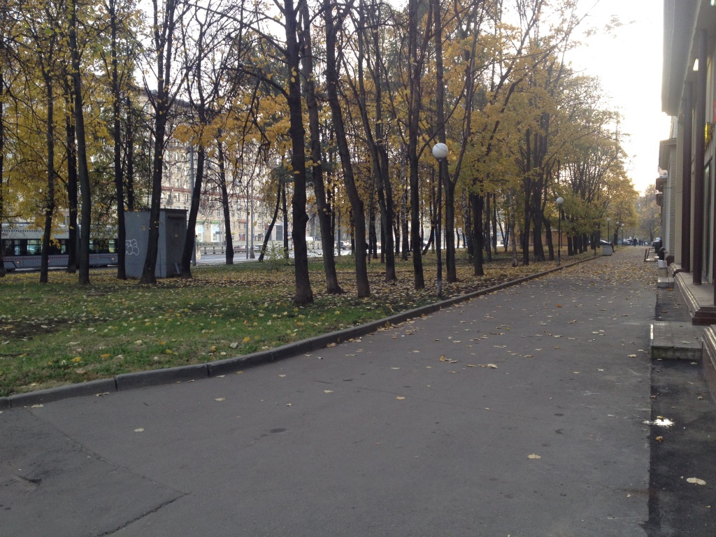 г. Москва, ш. Волоколамское, д. 13-придомовая территория