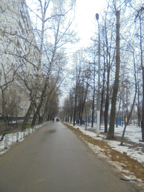 г. Москва, ул. Генерала Белова, д. 33/19-придомовая территория