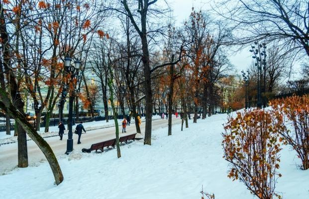 г. Москва, б-р. Гоголевский, д. 8-придомовая территория