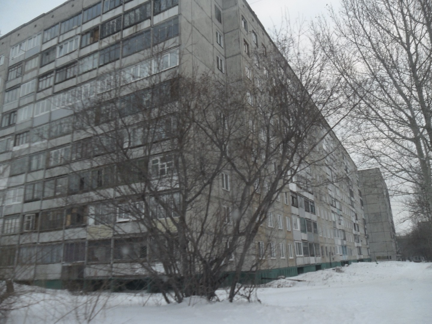 край. Алтайский, г. Барнаул, ул. Гущина, д. 160-фасад здания