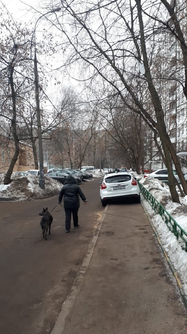 г. Москва, проезд. Дмитровский, д. 16-придомовая территория