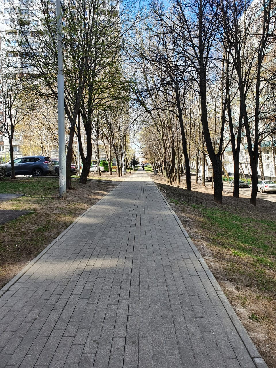 г. Москва, ул. Домодедовская, д. 18-придомовая территория