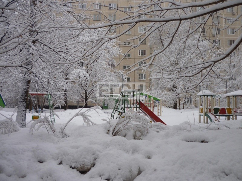 г. Москва, ул. Домодедовская, д. 24, к. 1-придомовая территория