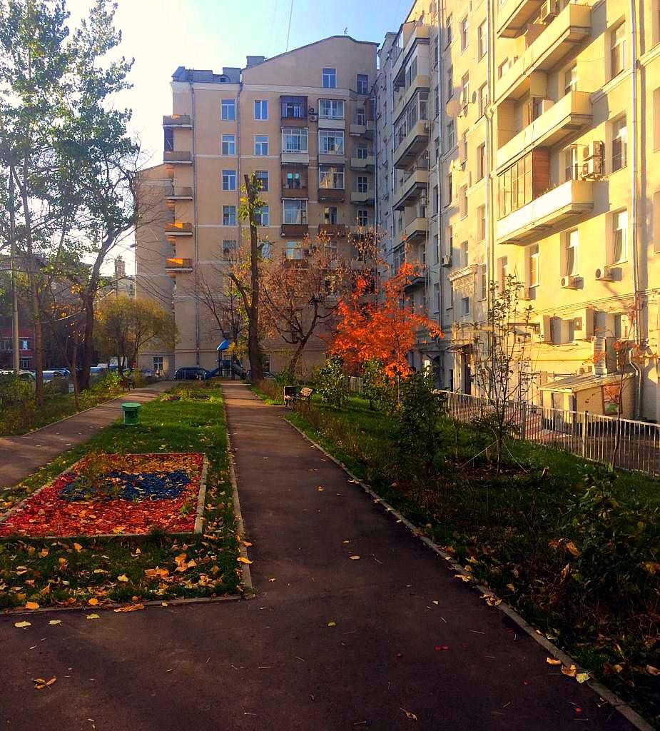 г. Москва, ул. Дорогомиловская Б., д. 9-придомовая территория