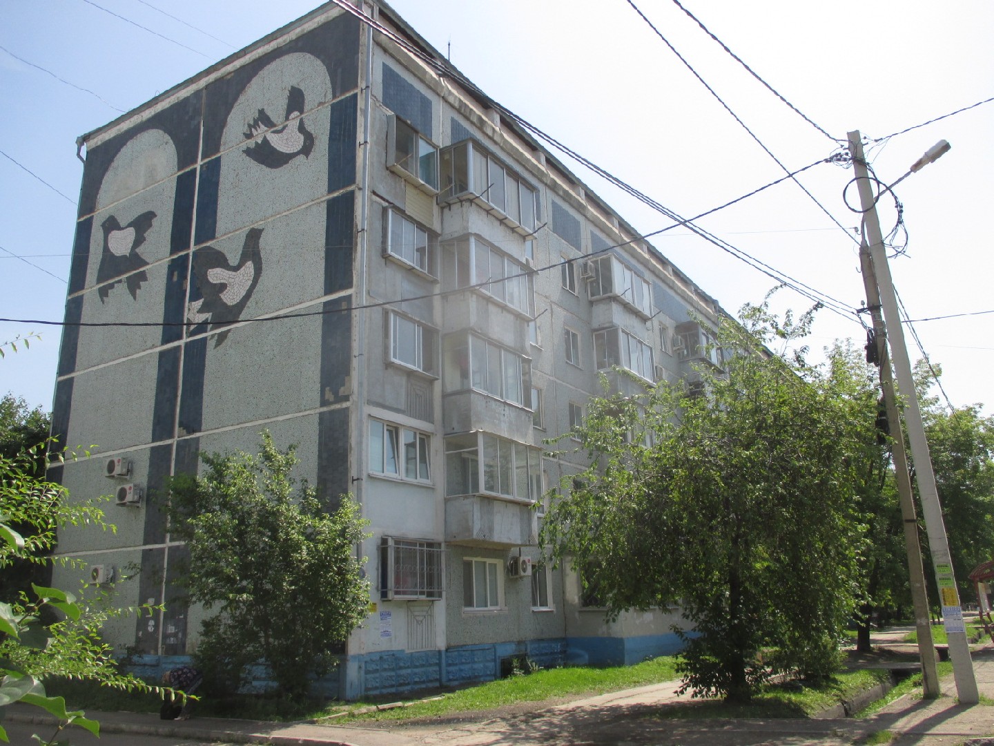 обл. Амурская, г. Благовещенск, ул. Мухина, д. 89-фасад здания