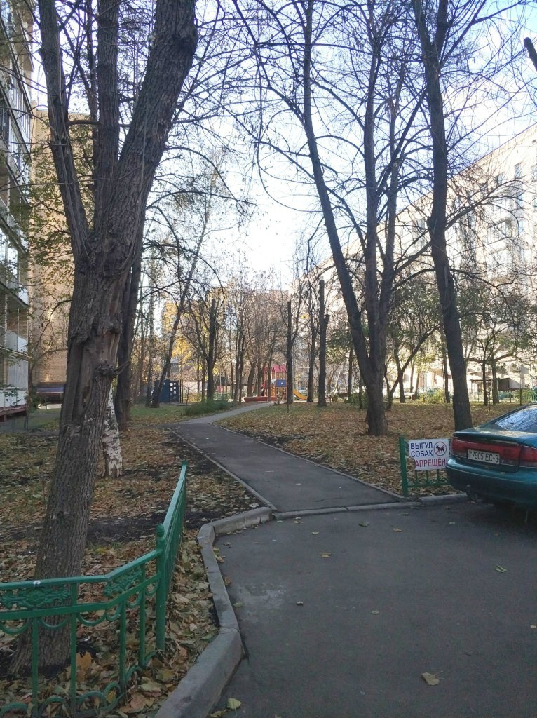 г. Москва, пр-кт. Комсомольский, д. 25, к. 2-придомовая территория