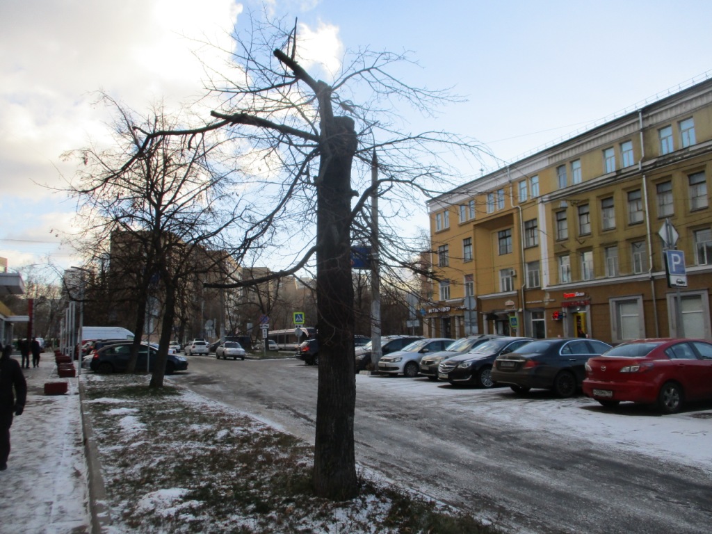 г. Москва, ул. Краснобогатырская, д. 27-придомовая территория