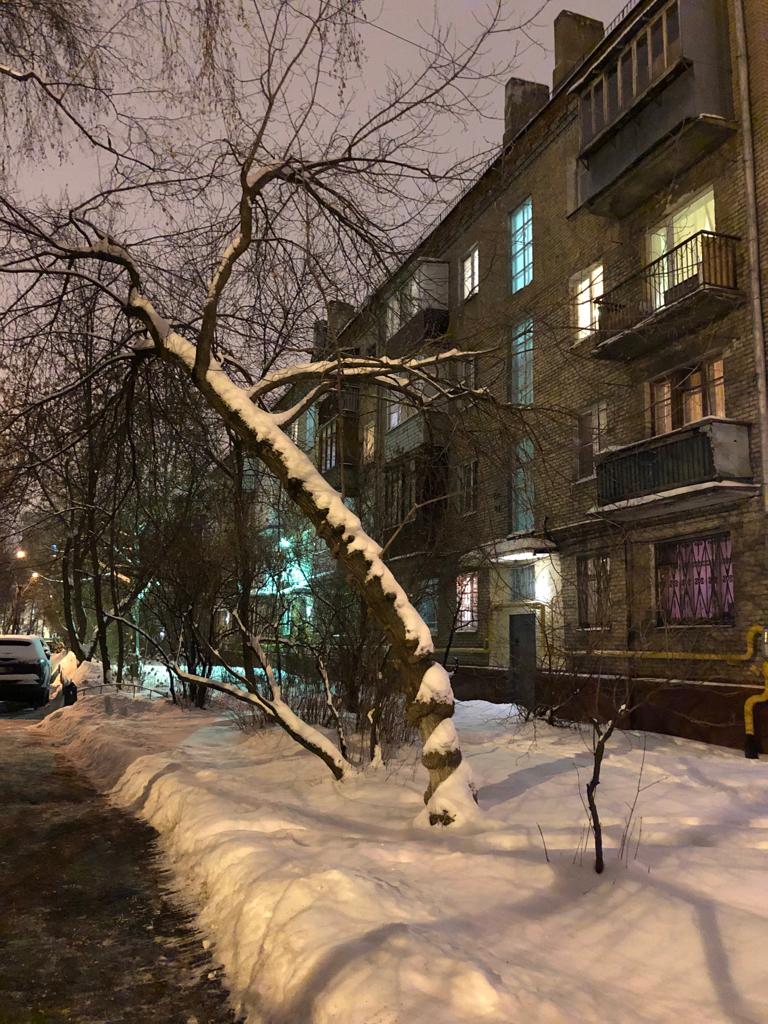 г. Москва, ул. Краснодарская, д. 28/15-придомовая территория