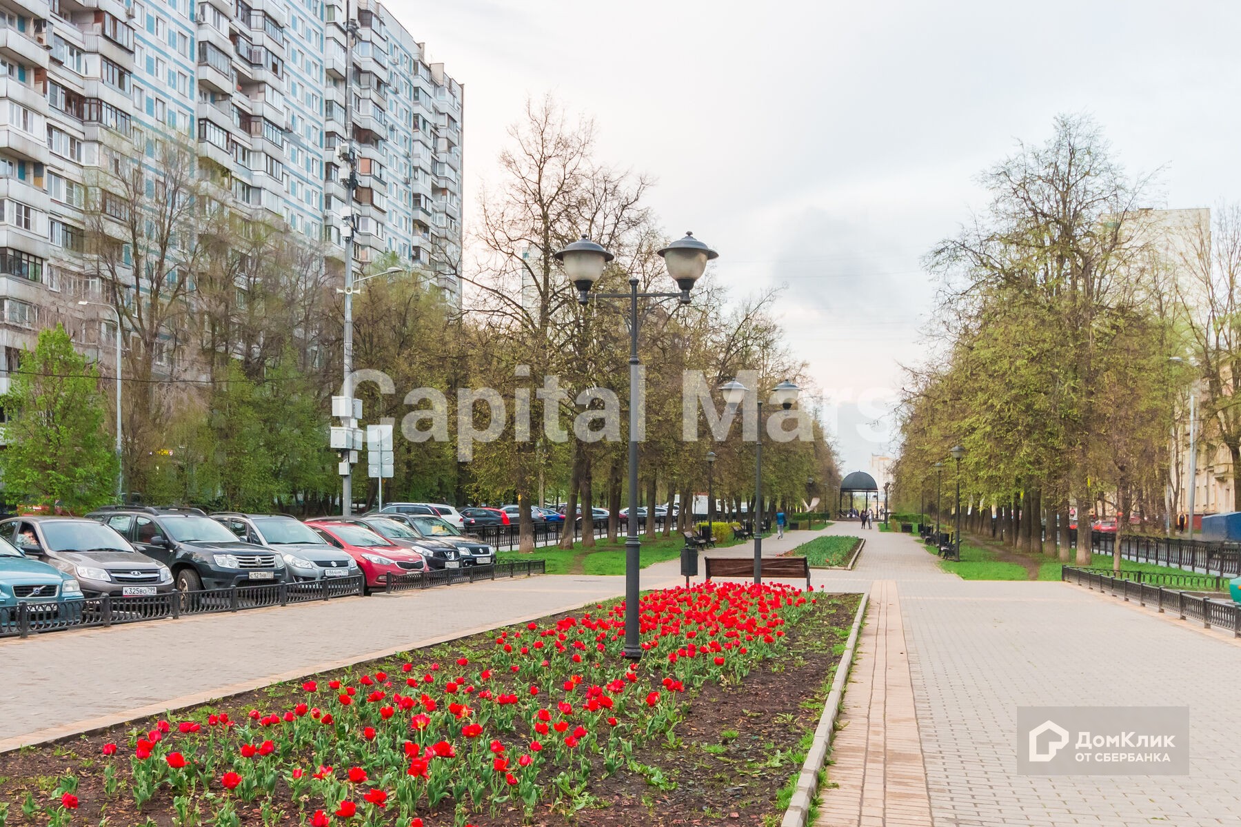 г. Москва, ул. Кунцевская, д. 6-придомовая территория