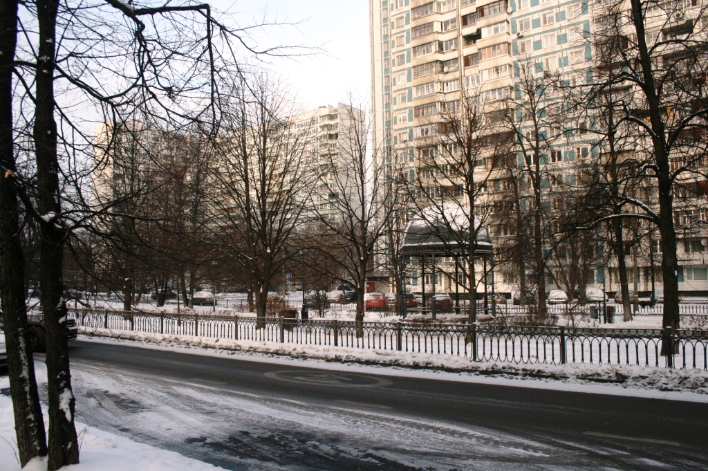 г. Москва, ул. Кунцевская, д. 13/6-придомовая территория