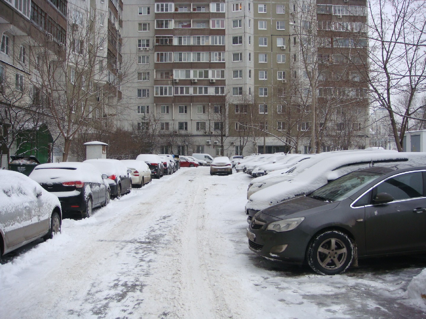 г. Москва, ул. Люблинская, д. 161-придомовая территория