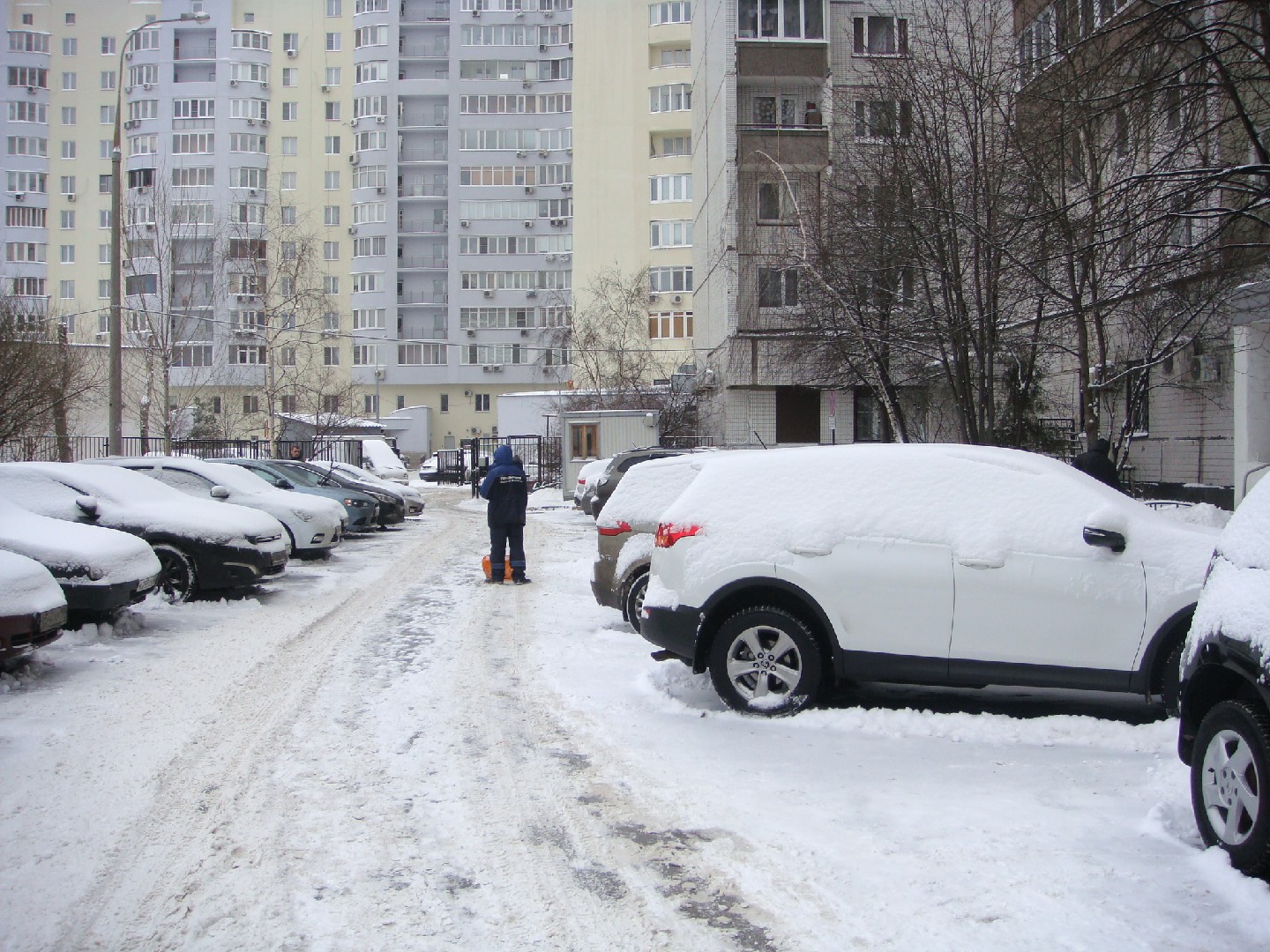 г. Москва, ул. Люблинская, д. 161-придомовая территория