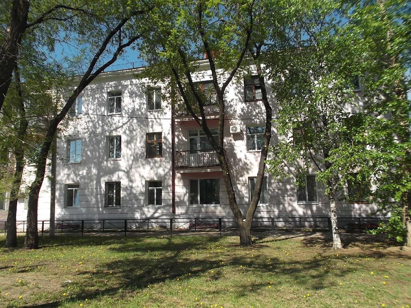 обл. Амурская, г. Благовещенск, ул. Пушкина, д. 36-фасад здания