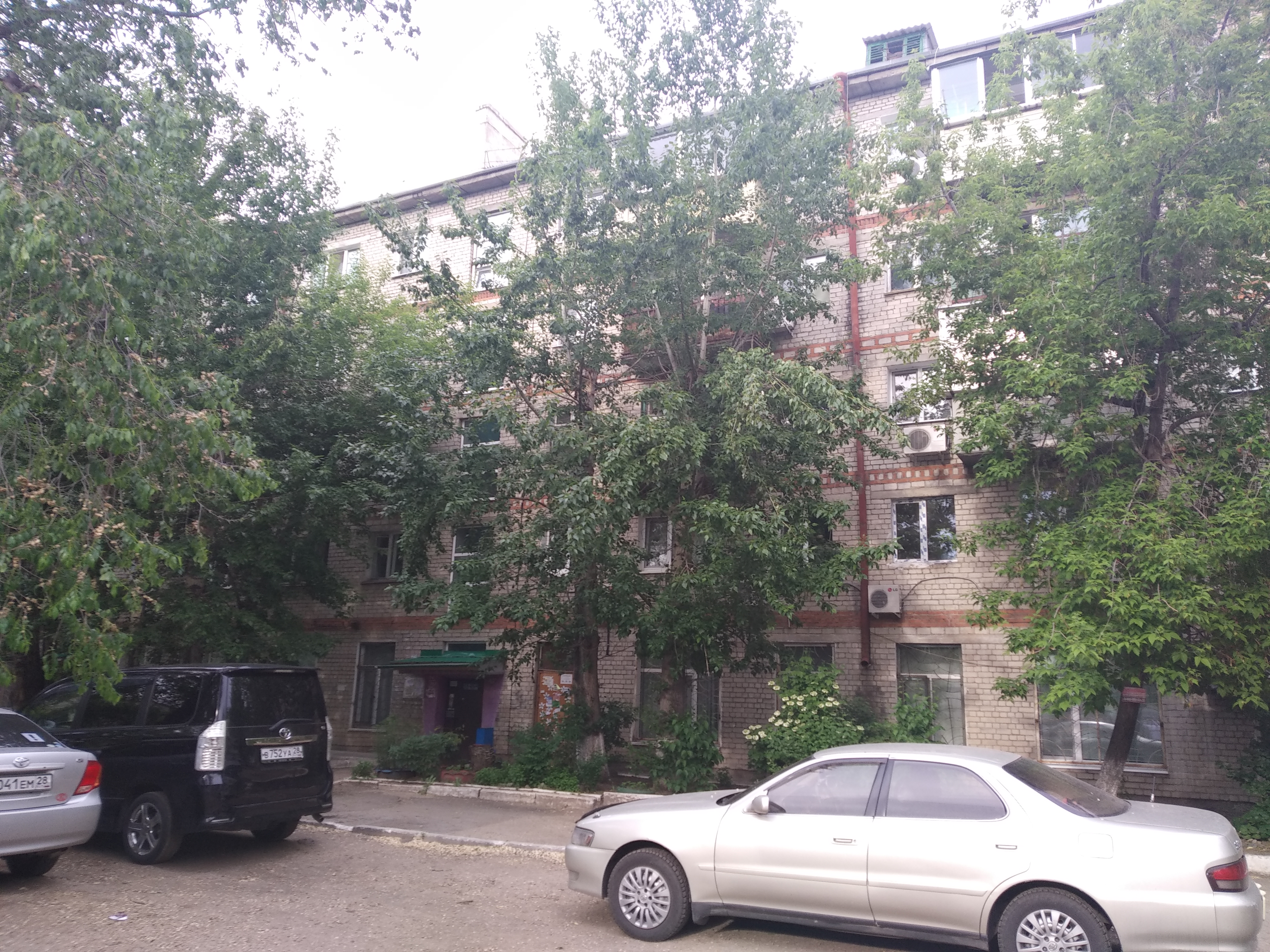 обл. Амурская, г. Благовещенск, ул. Пушкина, д. 64-фасад здания