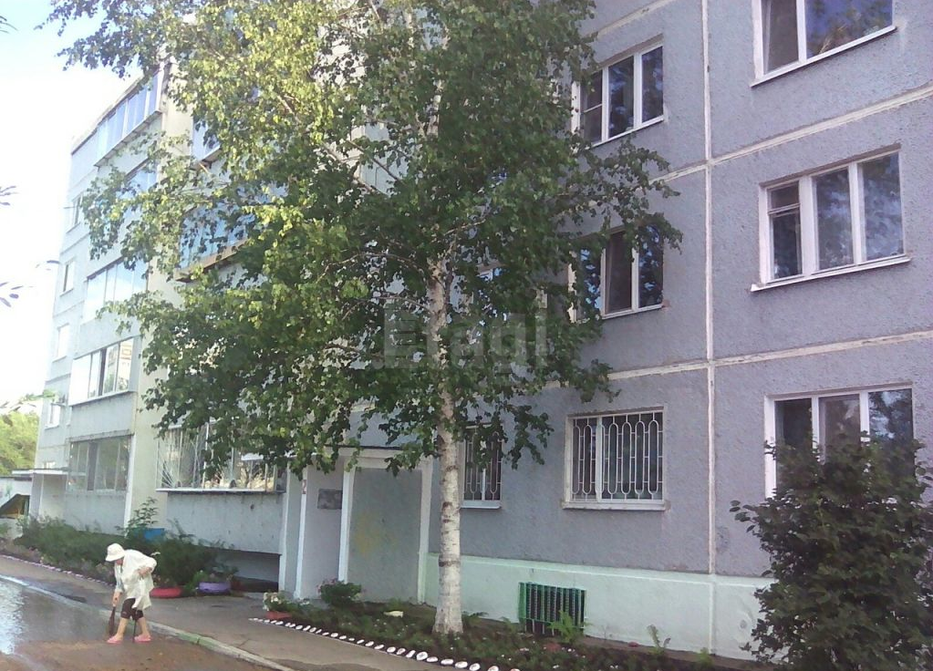 обл. Амурская, г. Благовещенск, ул. Свободная, д. 259-фасад здания