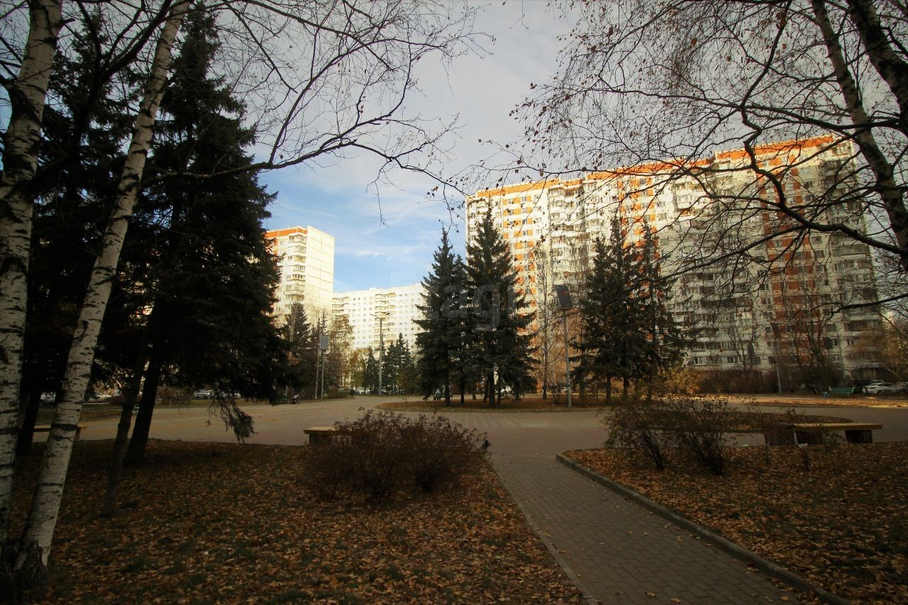 г. Москва, ул. Мичуринский проспект.Олимпийская деревня, д. 16-придомовая территория