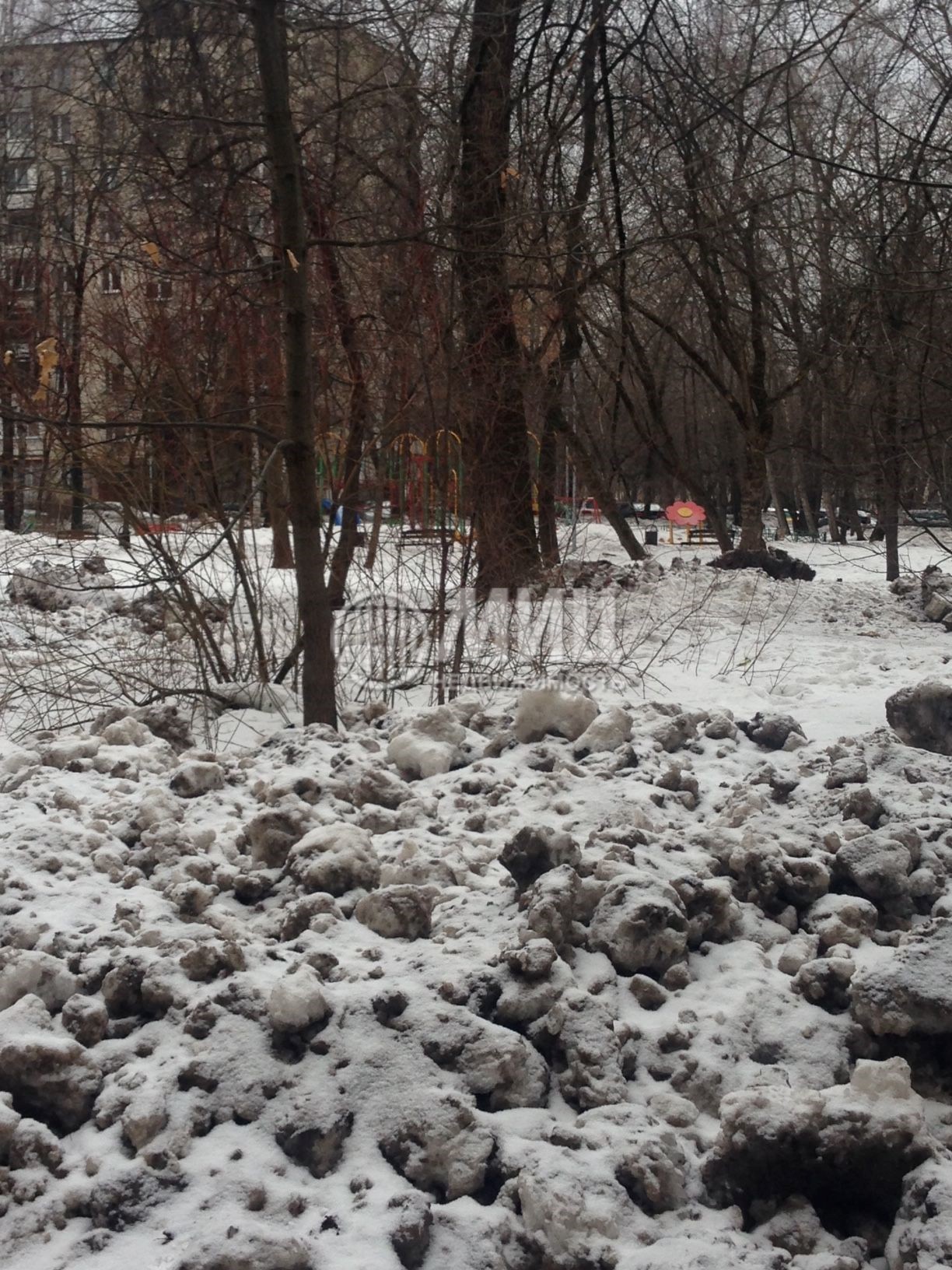 г. Москва, ул. Молдагуловой, д. 10, к. 3-придомовая территория