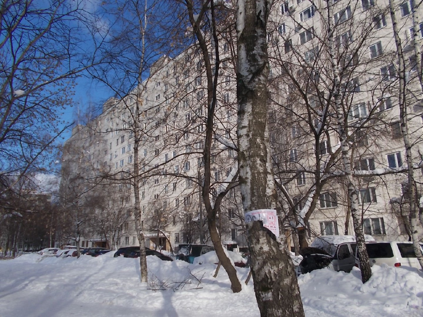 г. Москва, ул. Мурановская, д. 7-придомовая территория