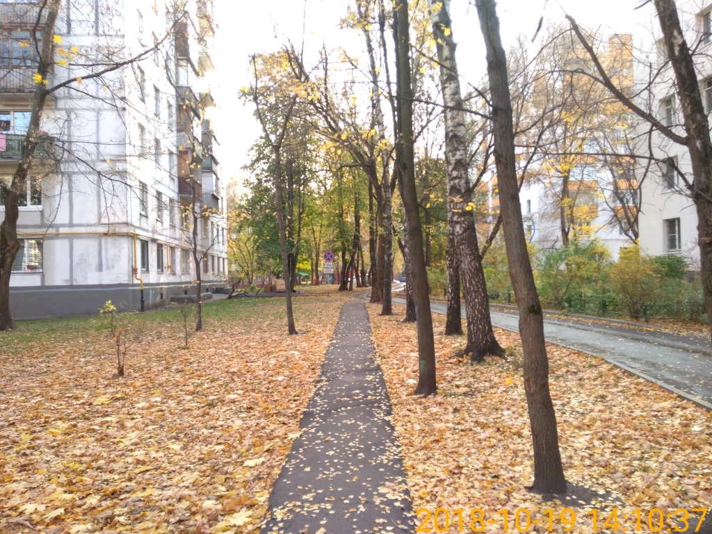 г. Москва, ул. Наримановская, д. 25, к. 3-придомовая территория