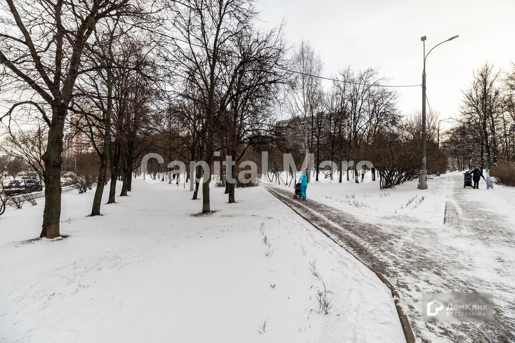 г. Москва, ул. Нежинская, д. 8, к. 1-придомовая территория