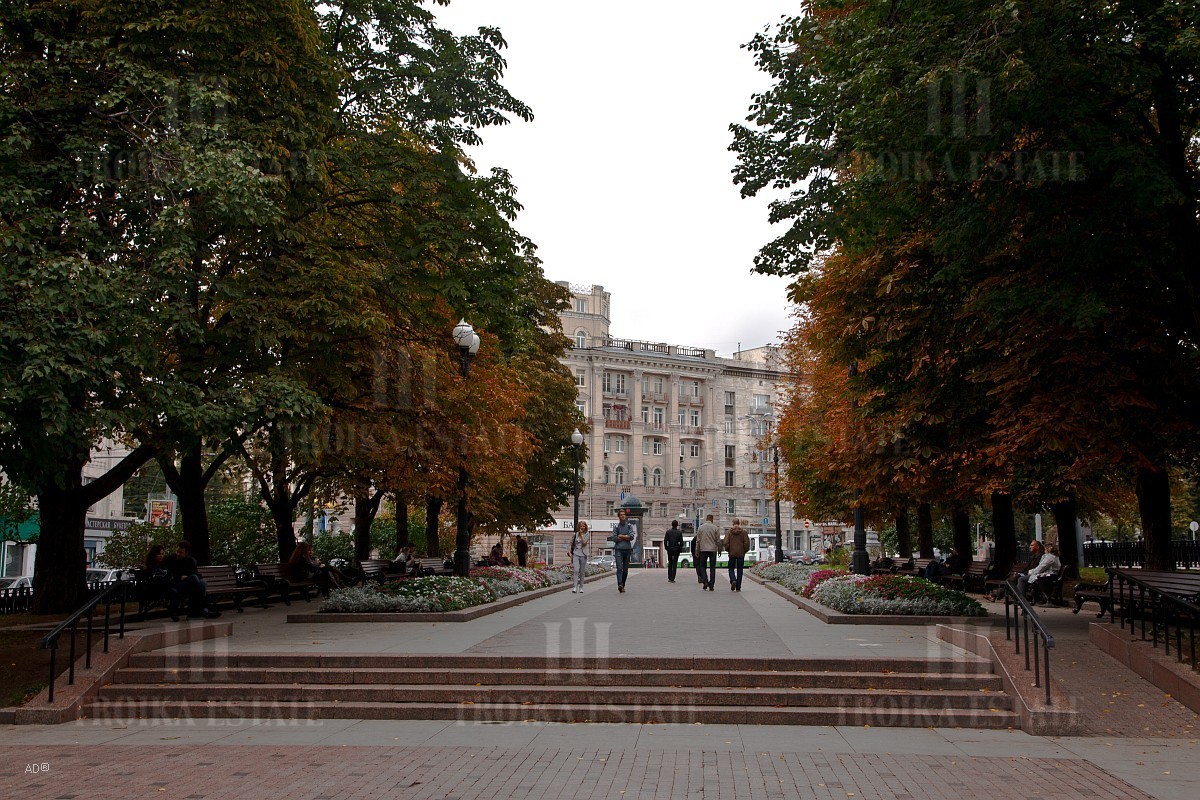 г. Москва, б-р. Никитский, д. 15/16-придомовая территория