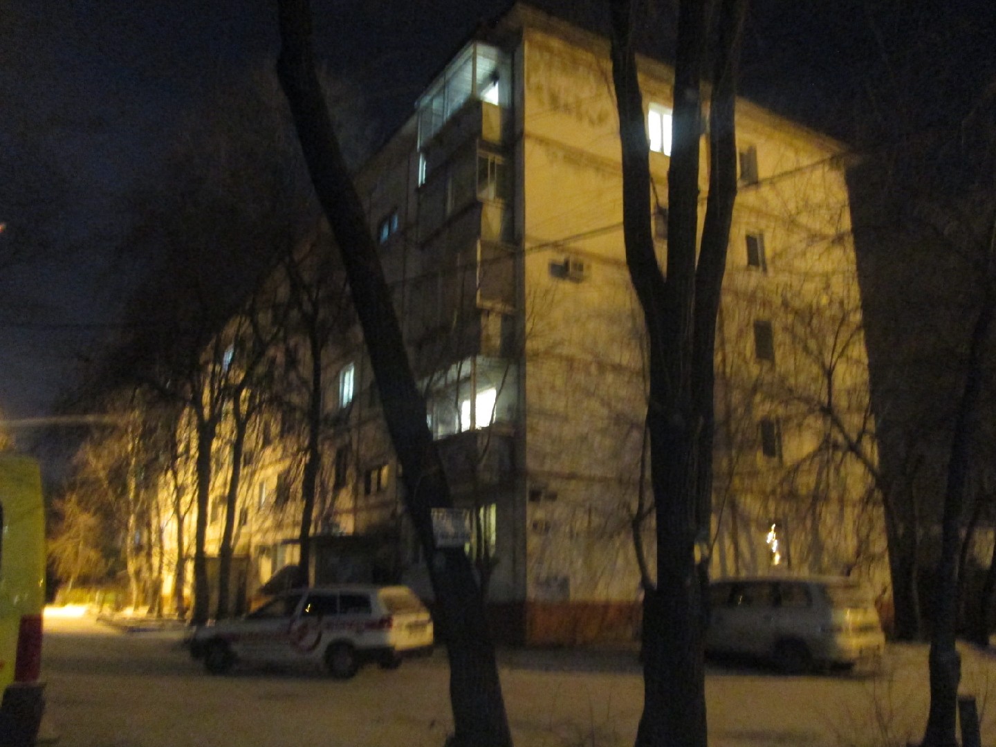 обл. Амурская, г. Благовещенск, ул. Фрунзе, д. 61-фасад здания