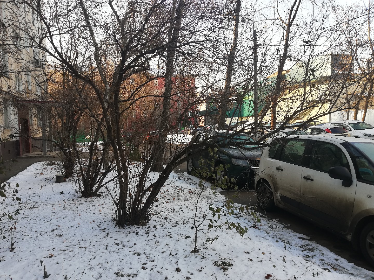 г. Москва, ул. Новочеремушкинская, д. 24, к. 2-придомовая территория