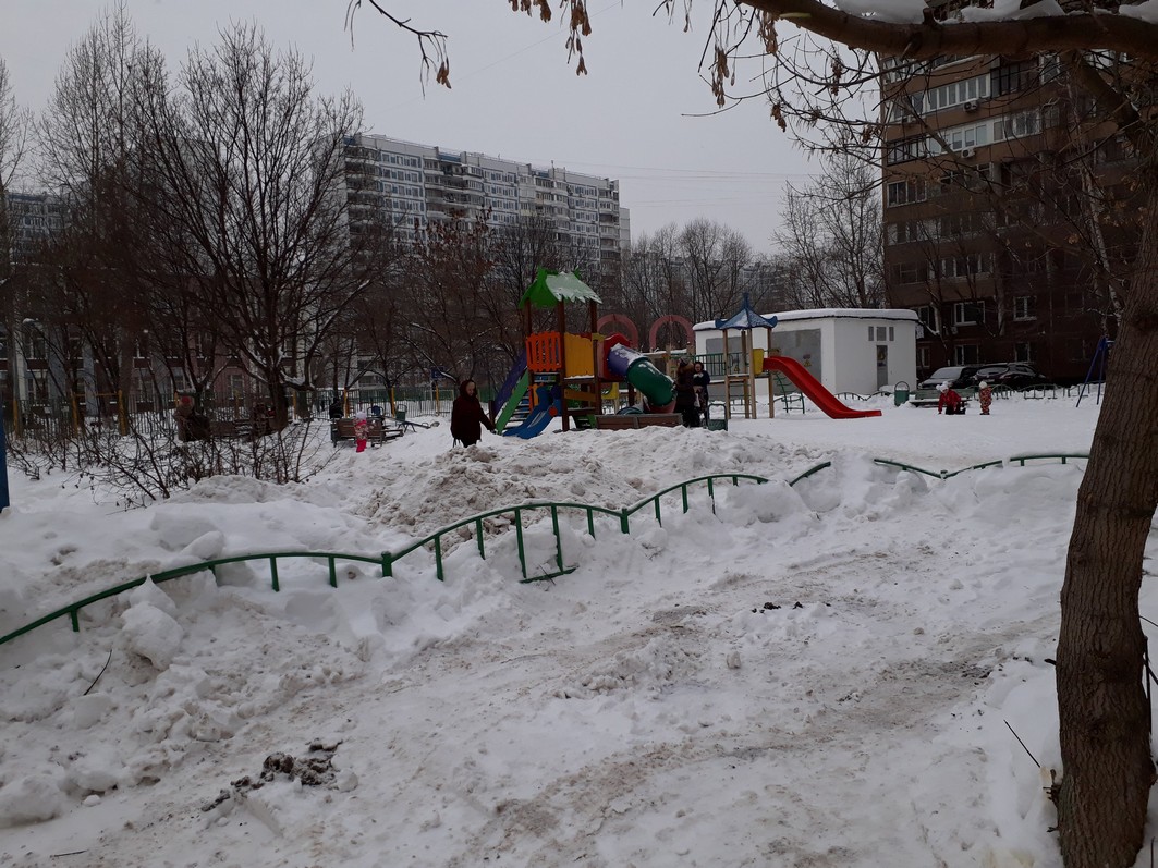 г. Москва, б-р. Новочеркасский, д. 31-придомовая территория