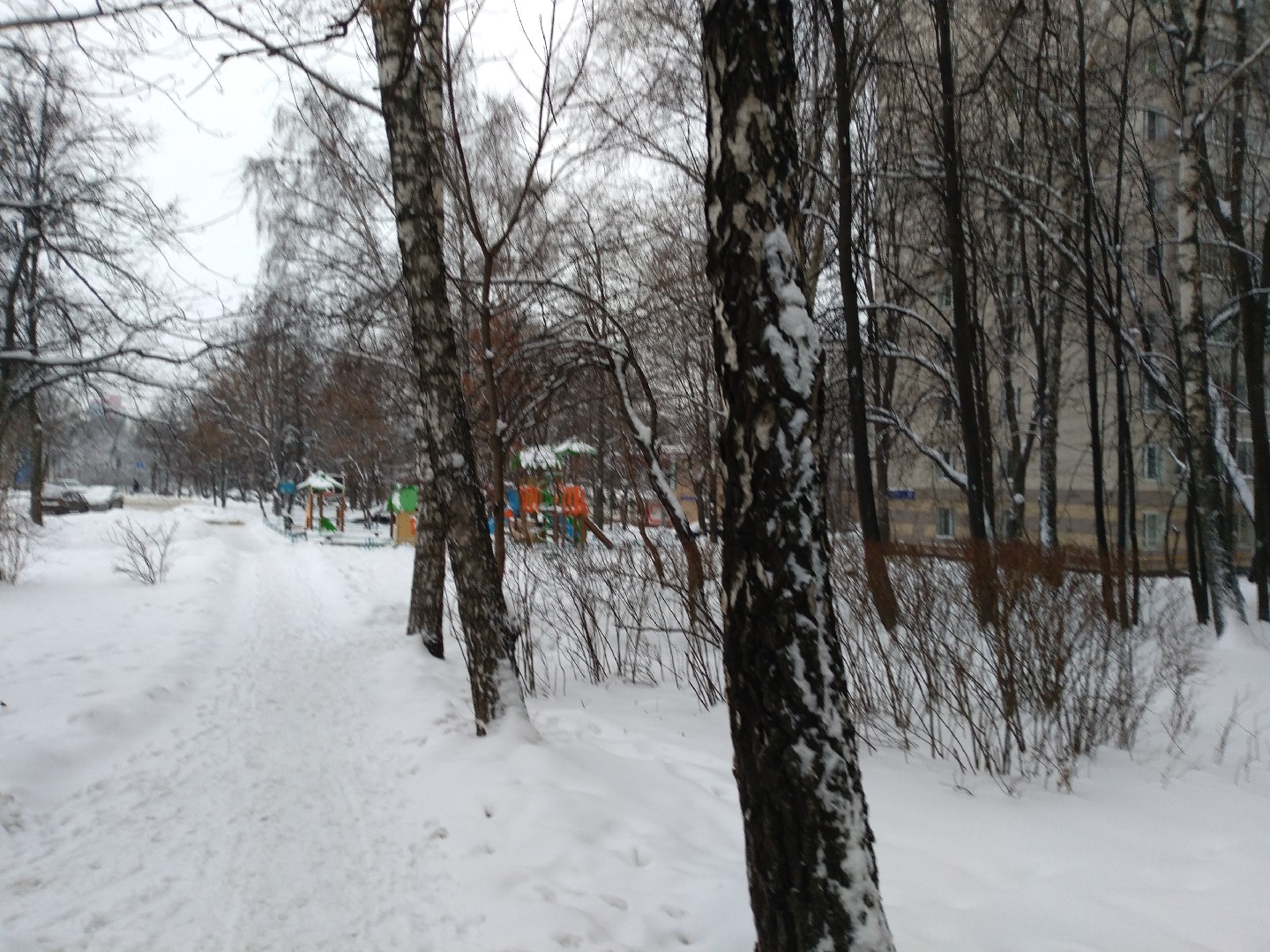 г. Москва, ул. Обручева, д. 63-придомовая территория